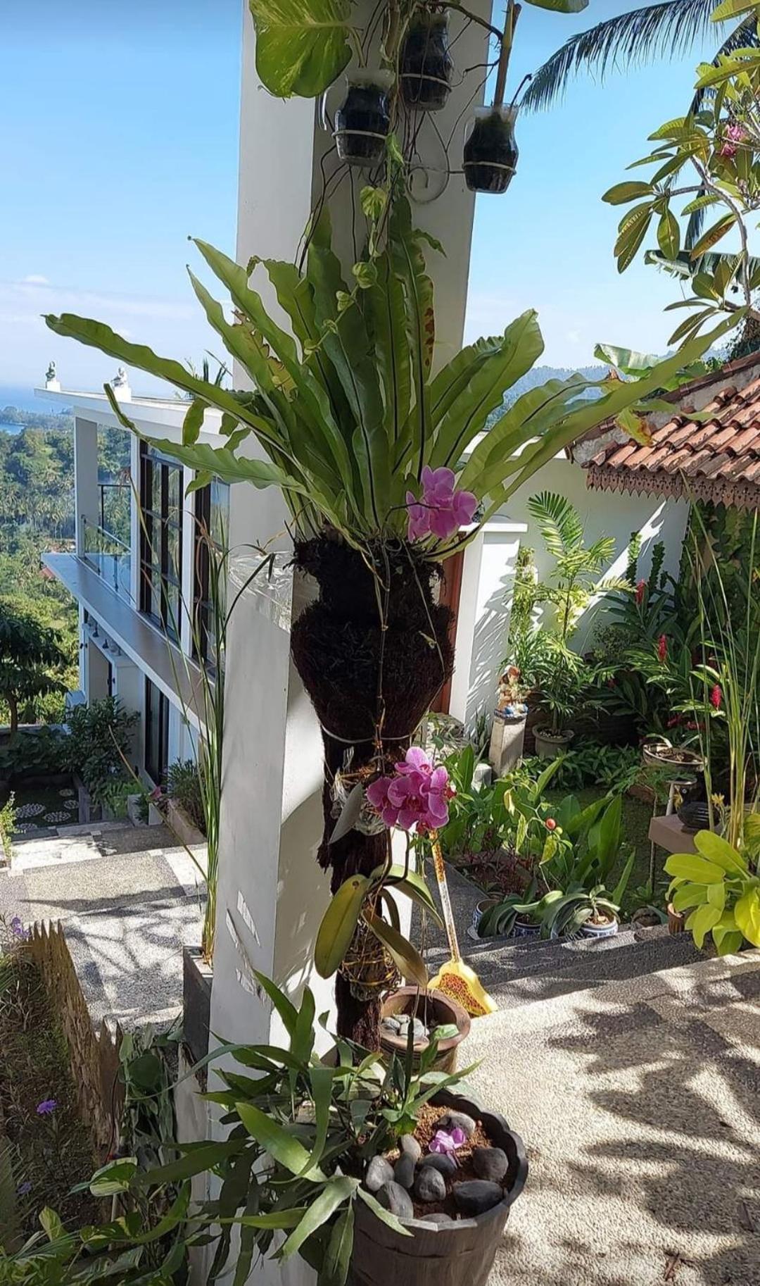 Villa Aryaguna Senggigi Kamer foto